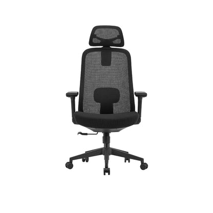 Ayden Office Chair With Headrest
