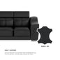 Lyla Half Leather Cowhide 3 Seater Sofa