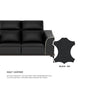Gianna Half Leather Cowhide 1 Seater Sofa