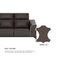 Gianna Half Leather Cowhide 1 Seater Sofa