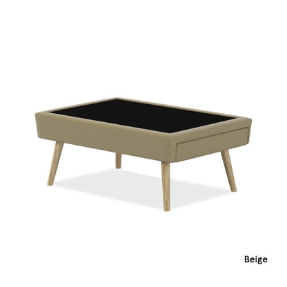 KAYDEN FAUX LEATHER COFFEE TABLE