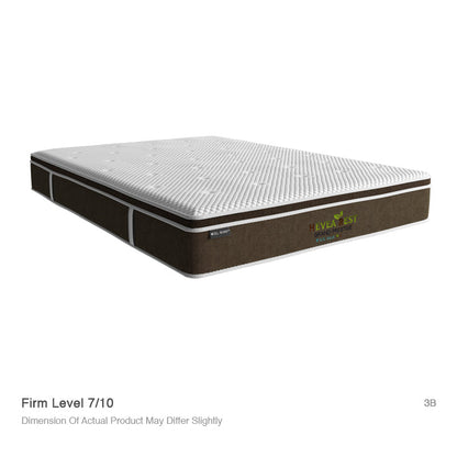 Hevearest Grand Prestige Latex Pocketed Spring Mattress 10 Inch