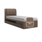 Princeton 3 in 1 Faux Leather Pullout Bed Frame