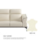 Gianna Half Leather Cowhide 1 Seater Sofa